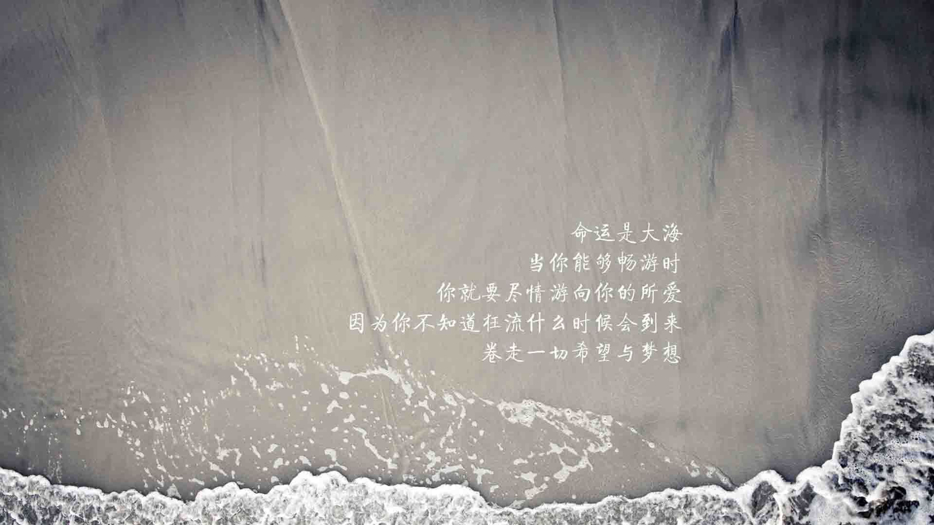 开云网页版-全明星梦：明星赛背后隐藏的训练故事，全明星赛有哪些项目
