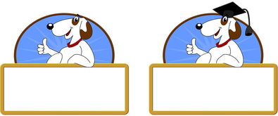 开云体育-校园体育节活动对学生参与度的促进作用，学校体育节活动描述