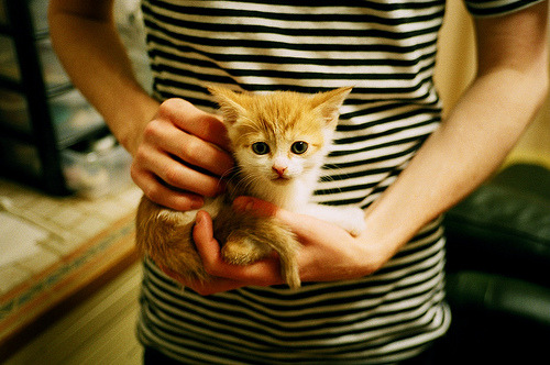 篮球运动员比赛焦虑管理及心理干预策略，篮球运动员的心理选材