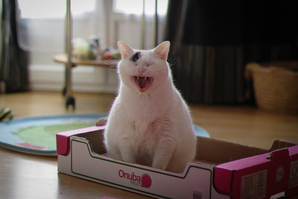 开云中国-DOTA2国际邀请赛战况激烈中国战队全力冲冠，dota2国际邀请赛2020在哪里举办