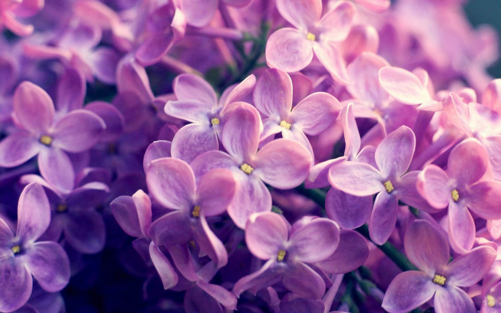 中国足球青训是否缺乏系统支持,中国足球青训的现状