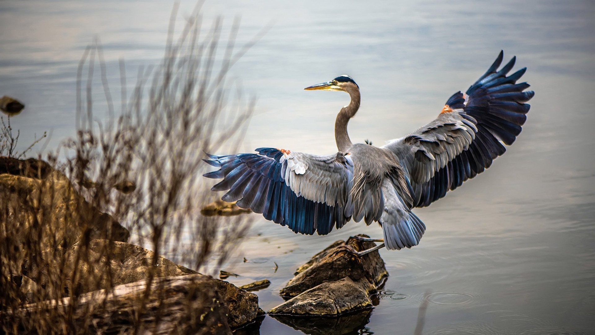 开云官网-亚冠联赛中国足球战胜 球员配合默契十足，亚冠联赛中国足球战胜 球员配合默契十足