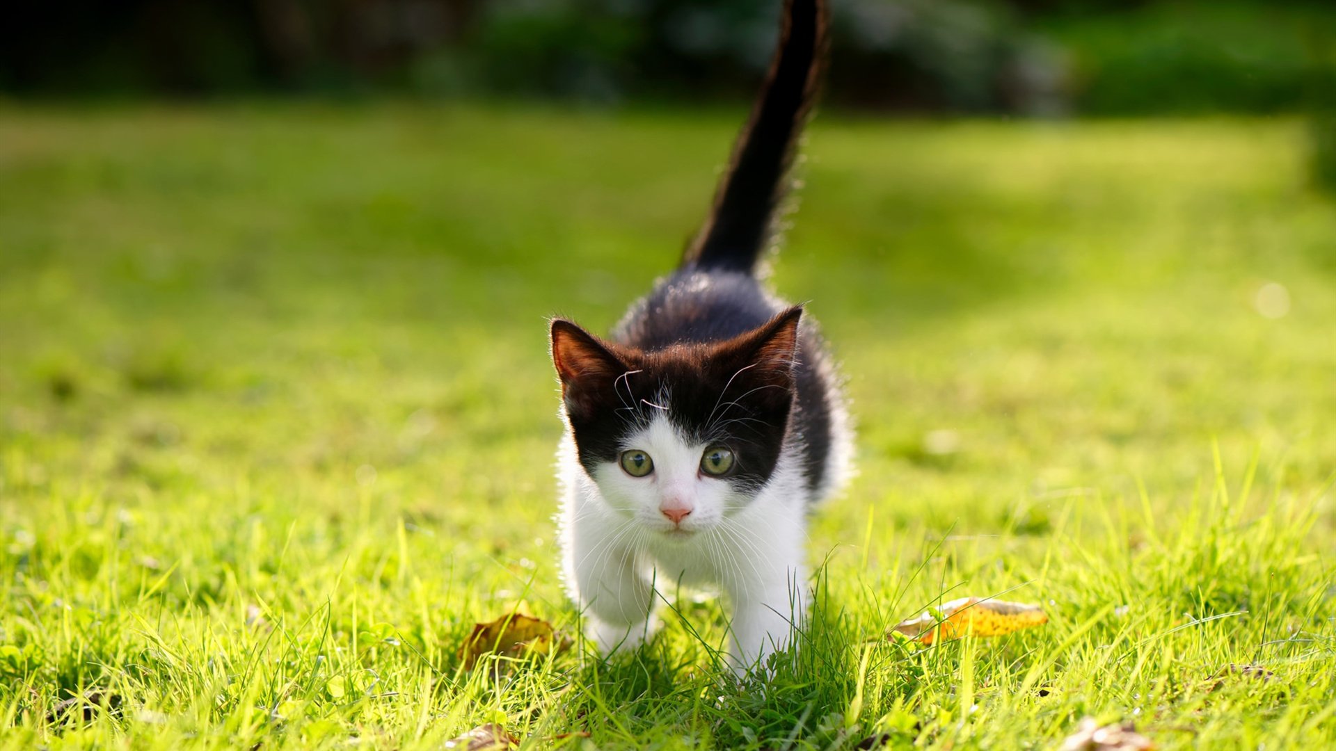 开云网站-奥运备战全面展开各项准备就绪，全力备战奥运会