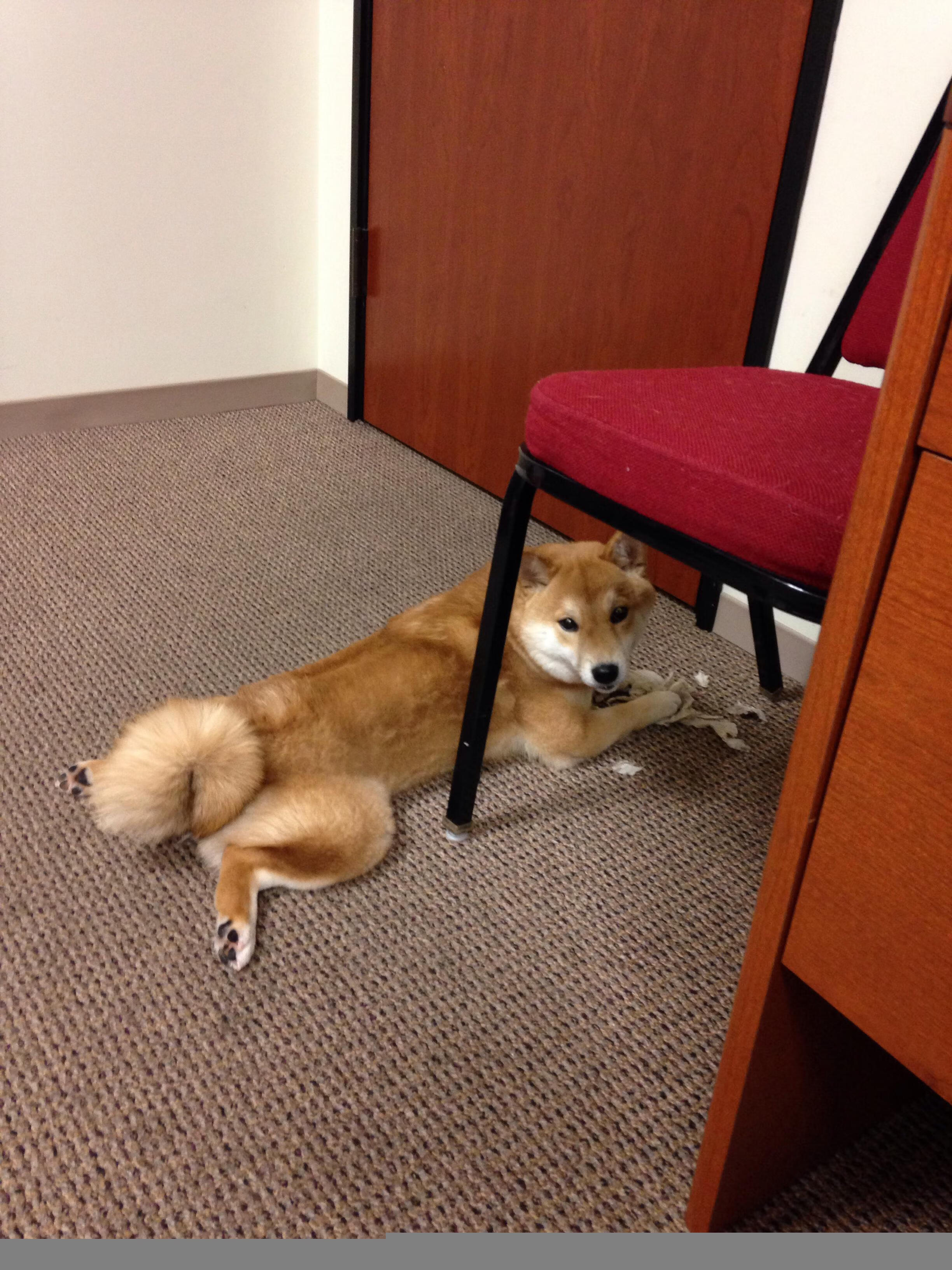 开云官网-外教流失率高导致战略目标断裂