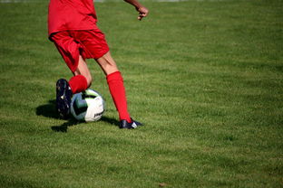 开云·Kaiyun网页版-中国足球青训体系引进国际先进训练理念，中国足球青训体系是什么