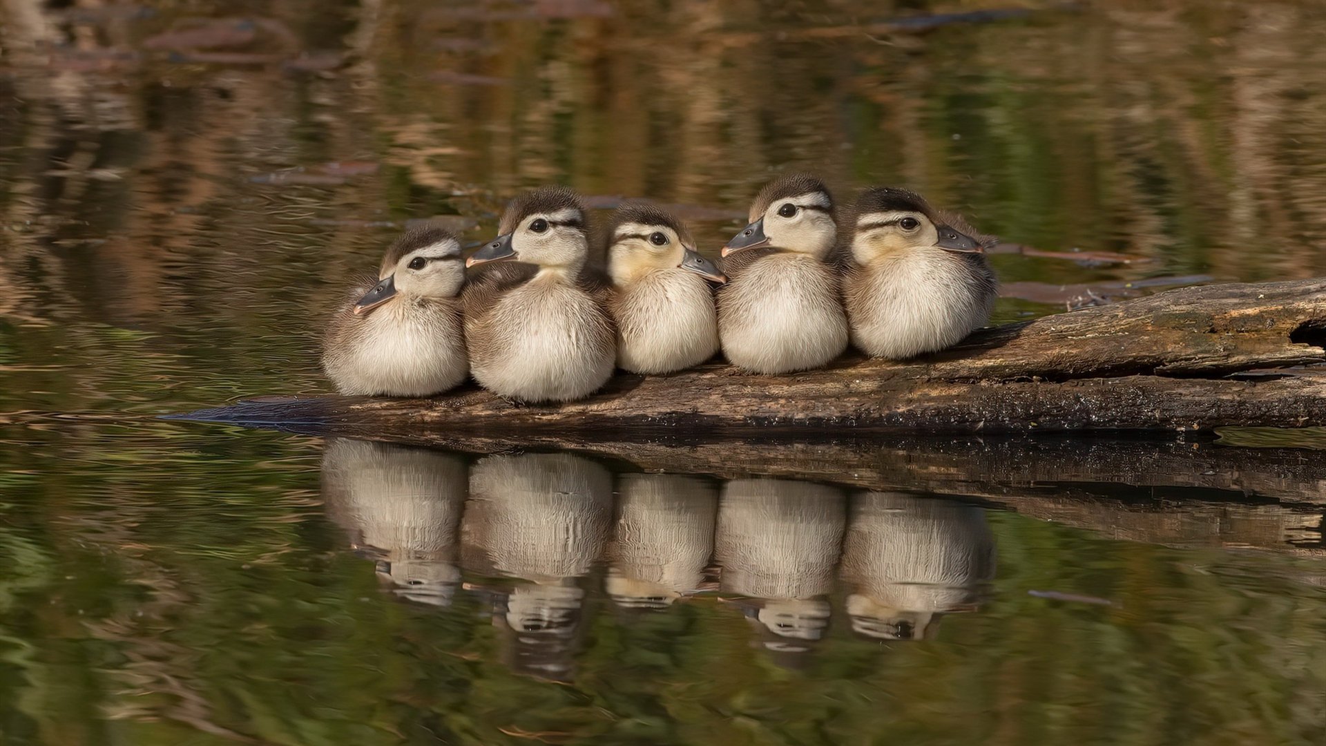 KAIYUN 中国大陆-国家队采用科学康复计划缩短球员恢复周期，国家队康复训练